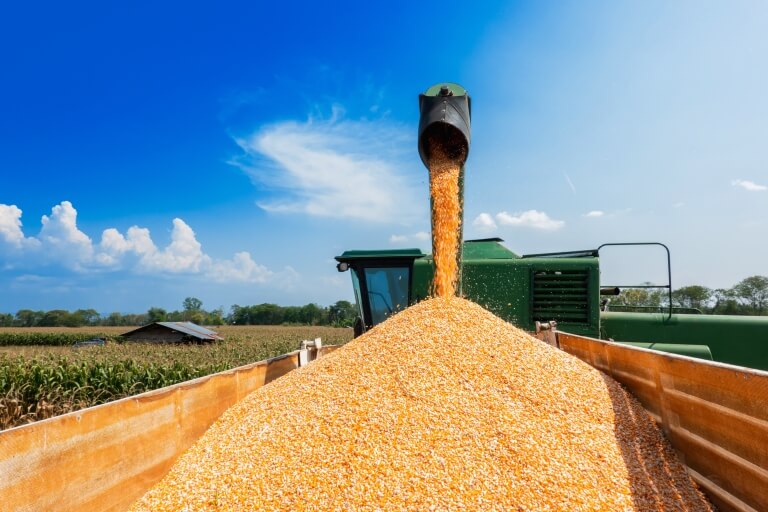 agribusiness accounting