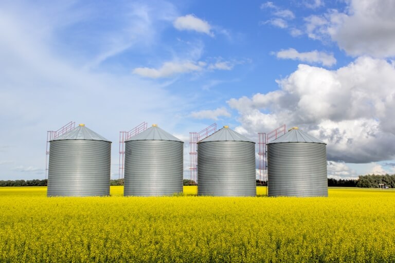 agribusiness tax services